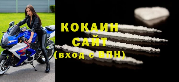 шишки Волоколамск