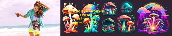 СК Сосновый Бор