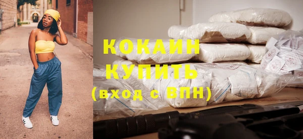 шишки Волоколамск