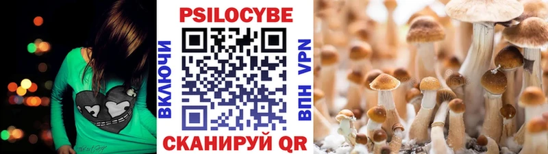блэк спрут как зайти  Калач  Псилоцибиновые грибы ЛСД  купить наркотик 
